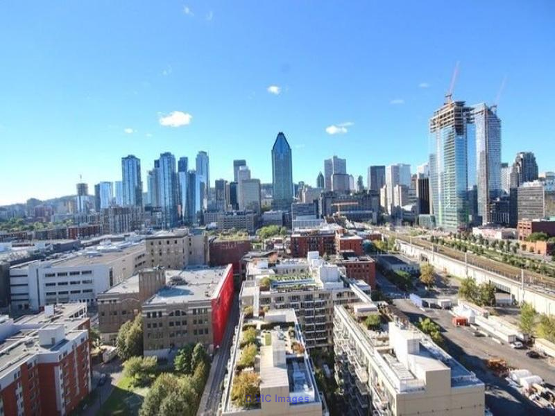 Lowney -- 3 1/2 condo for rent Griffintown November 1st