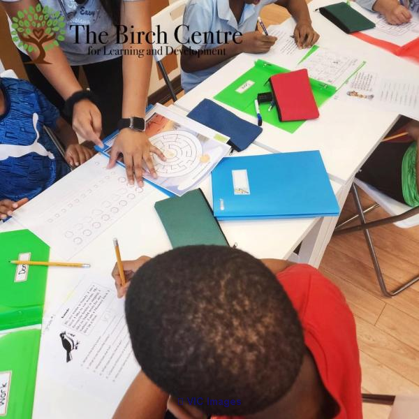 The Birch Center for ABA Therapy for Autism in Brampton Peel