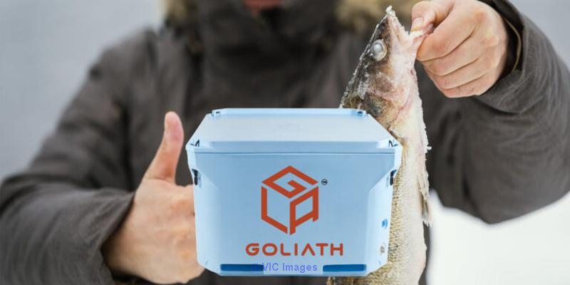 Buy Plastic fish storage boxes In USA