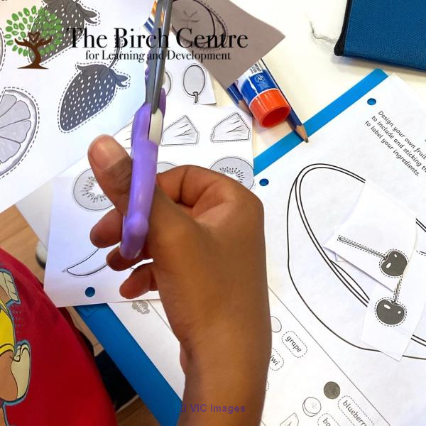 The Peel Birch Center in Brampton Offers Programmes