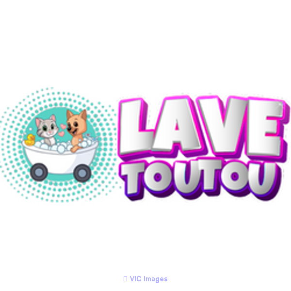 Searching On The Internet For Pet Services Near Me? Search No More!