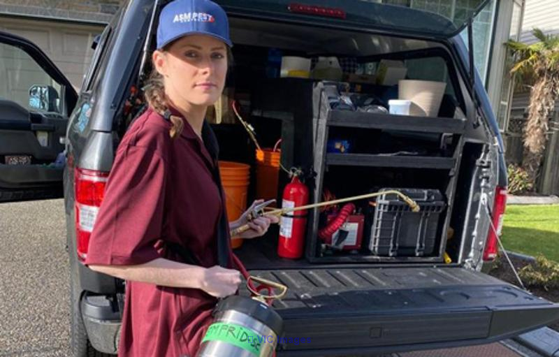 Pest Control Services In Burnaby