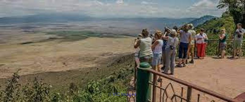Ngorongoro Carter Safari | Short But A Great One-Day Adventure Trip