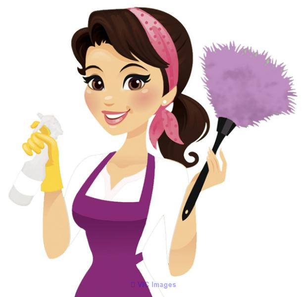 Professional private house cleaner bonded