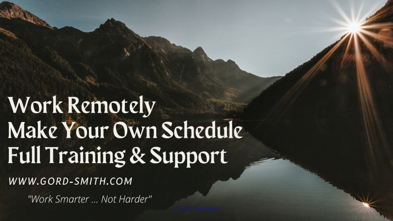 Work Remotely. Start Your Own Business