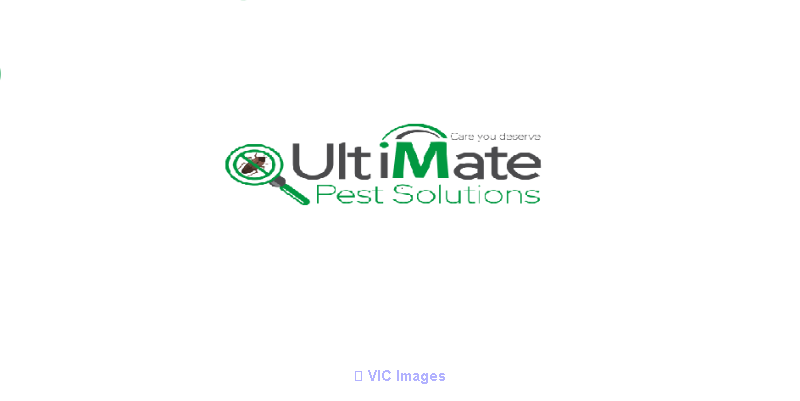 Affordable Bedbug Exterminator Vaughan Service by Ultimate Pest Soluti