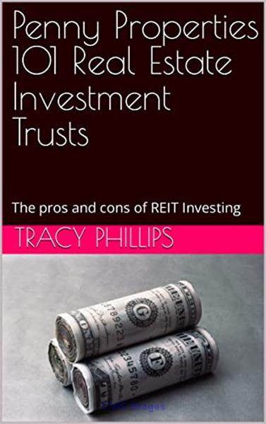 Penny Properties 101 Real Estate Investment Trusts