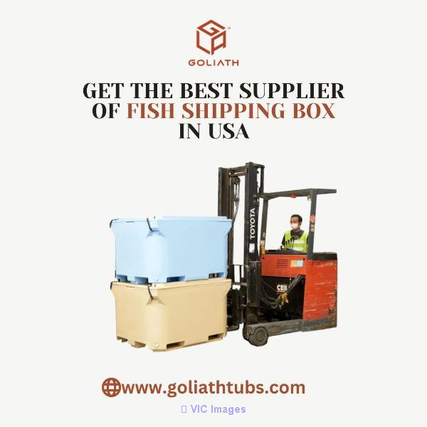 Plastic Fish Boxes Supplier and Manufacturer in USA