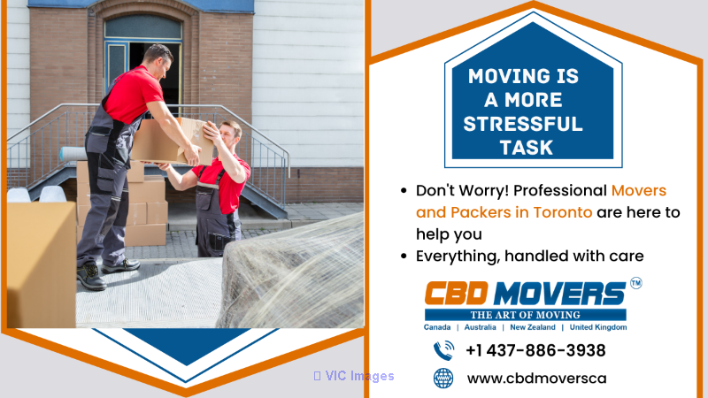 Most Reliable Movers and Packers in Toronto