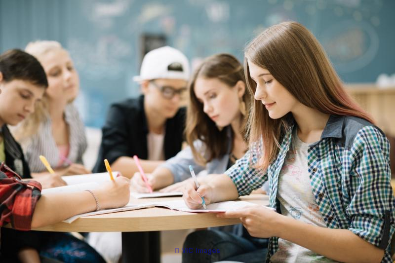 Essay Writing Service