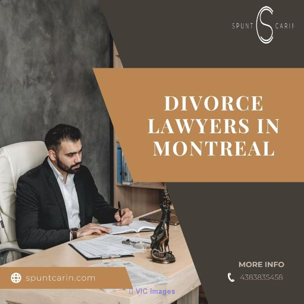 Divorce Lawyers In Montreal | Spunt & Carin