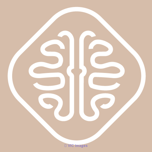 My Recon Therapy - myrecontherapy.com