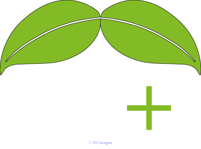 PLCPlus