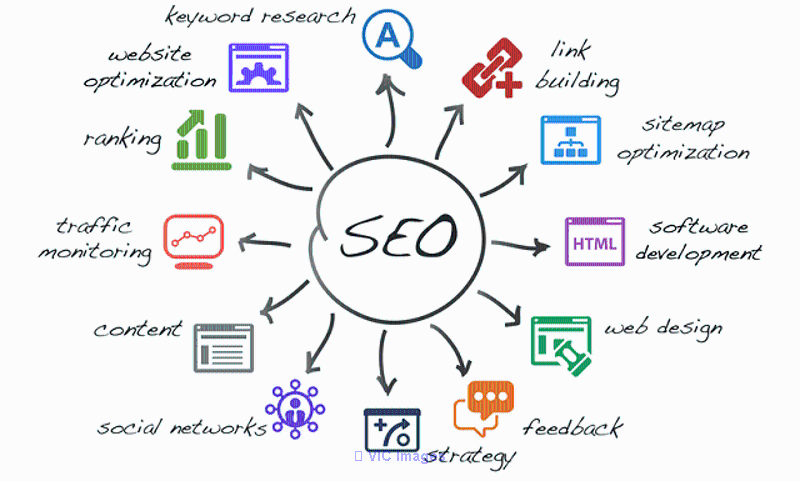 Transform Your Online Presence with Our Proven SEO Services