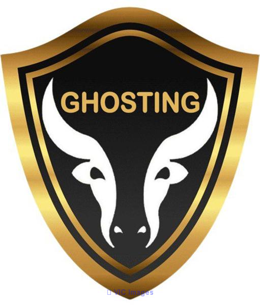 Ghosting Tech: web development company in Patna