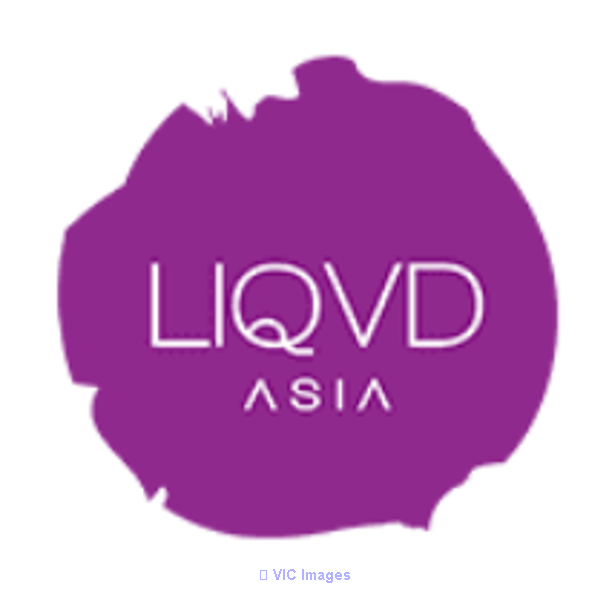Liqvd Asia Best Digital Marketing Agency in India