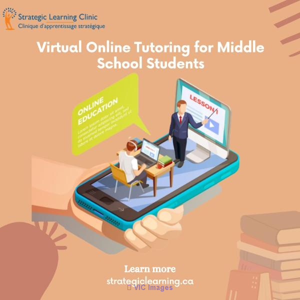Virtual Online Tutoring for Middle School Students