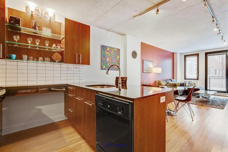 LOWNEY Griffintown Large 3 1/2 furnished for rent AVAILABLE