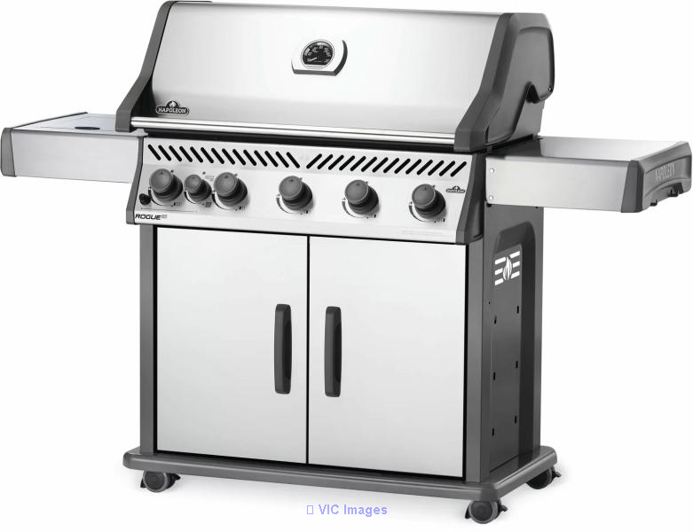 Rogue Napoleon 5 - Burner Free Standing 69000 BTU Gas Grill with Side