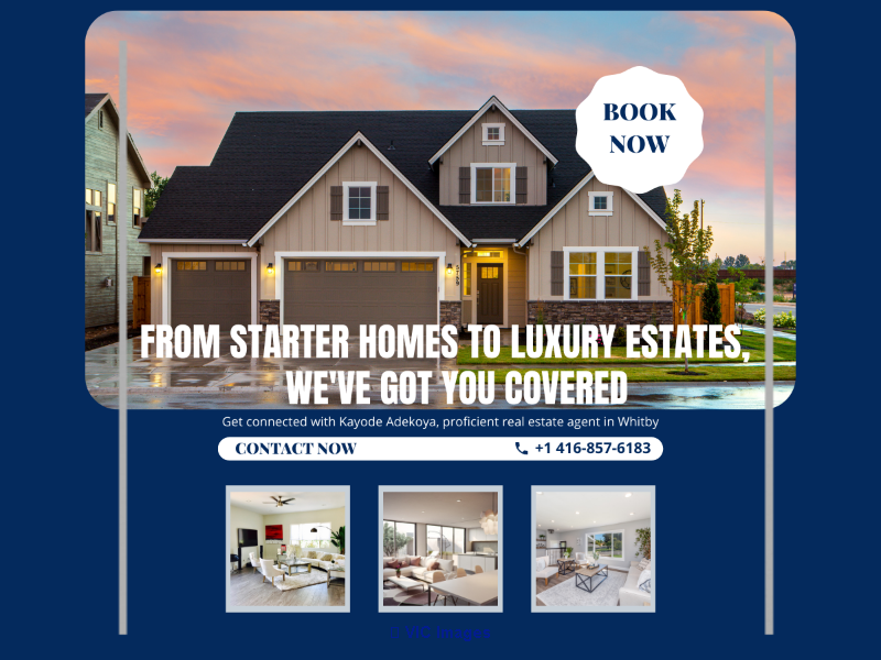 Kayode Adekoya Real Estate Agent
