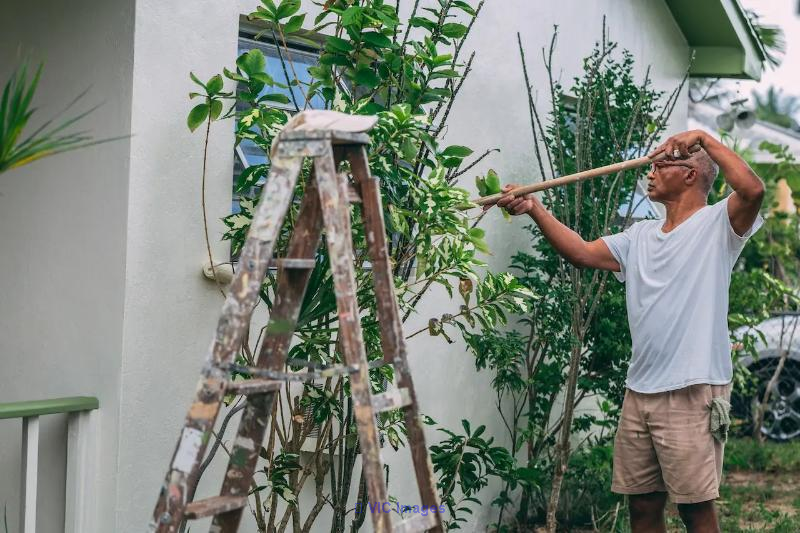 Trusted House Painter