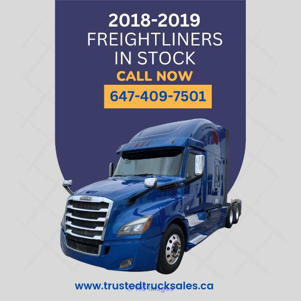 Multiple Units of 2018-2019 Freightliner Cascadia IN EXCELLENT CONDITI