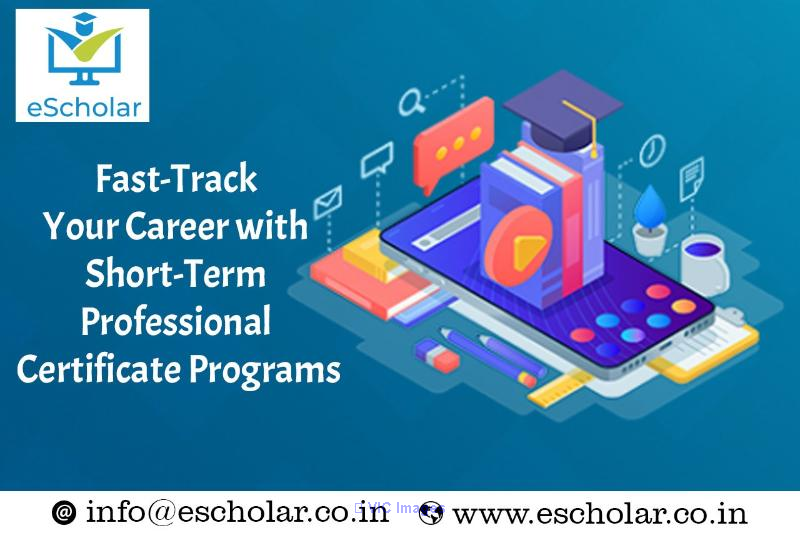 Fast-Track Your Career with Short-Term Professional Certificate Progra