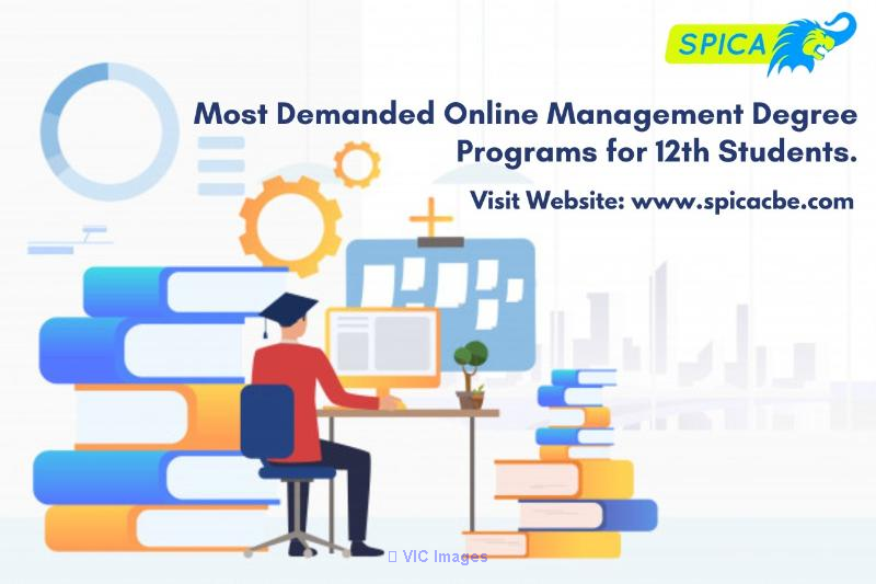 Most Demanded Online Management Degree Programs for 12th Students