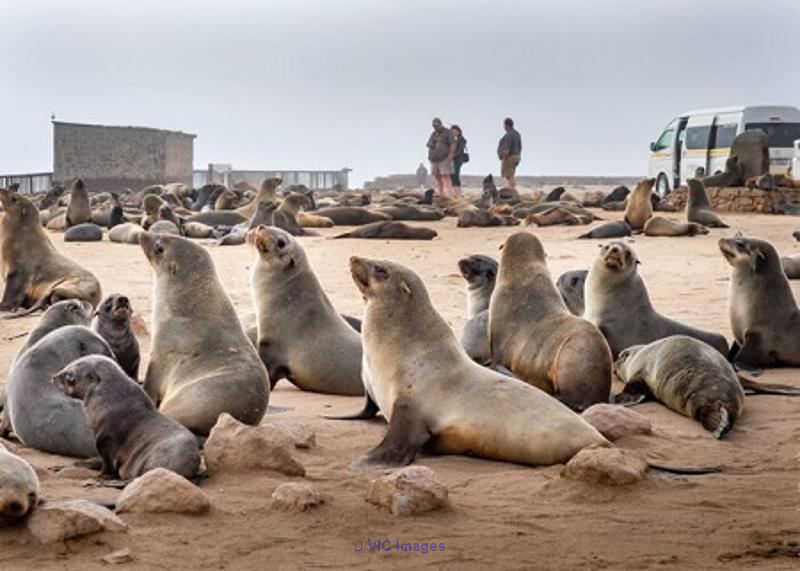 Safari World Tours (Pty)