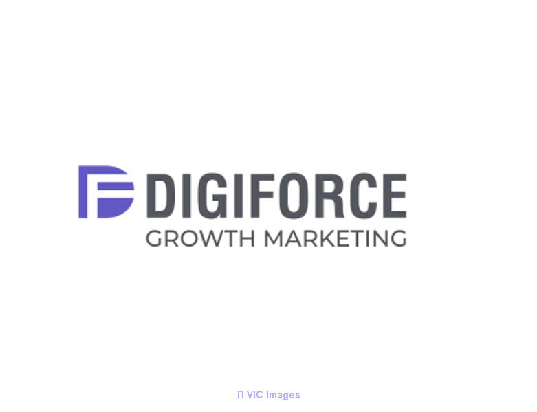 Google Ads Management