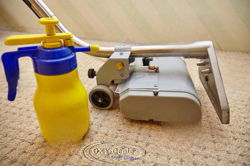 Oxy-Genie Carpet Cleaning Services - Natural Carpet Cleaning Calgary