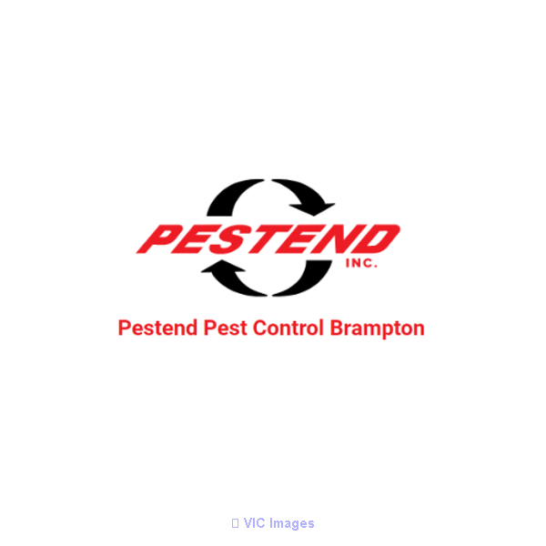 Pestend Pest Control Brampton