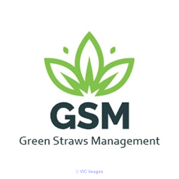 GSM Paper Straws Manufacturer and  Wholesale Suppliers - Say NO