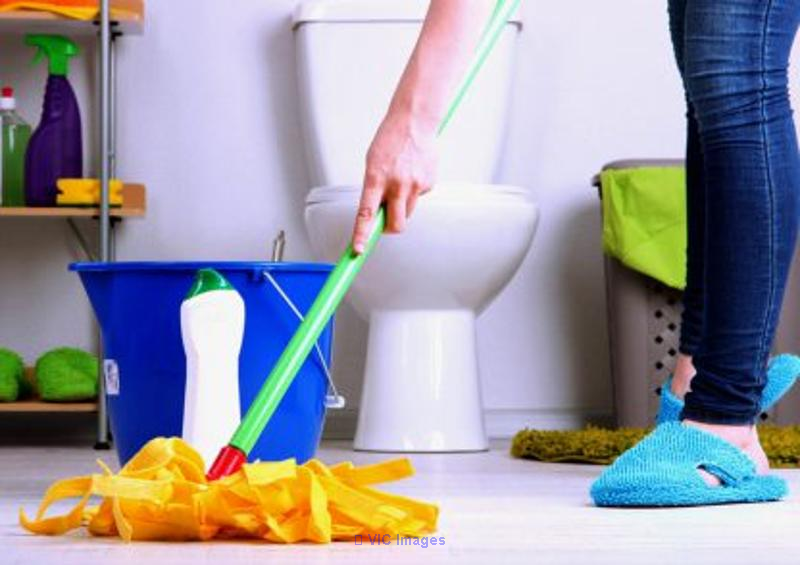 Phoenix Look Cleaning Service GTA