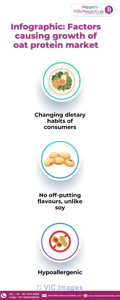 Oat proteins An emerging ingredient in Food formulation