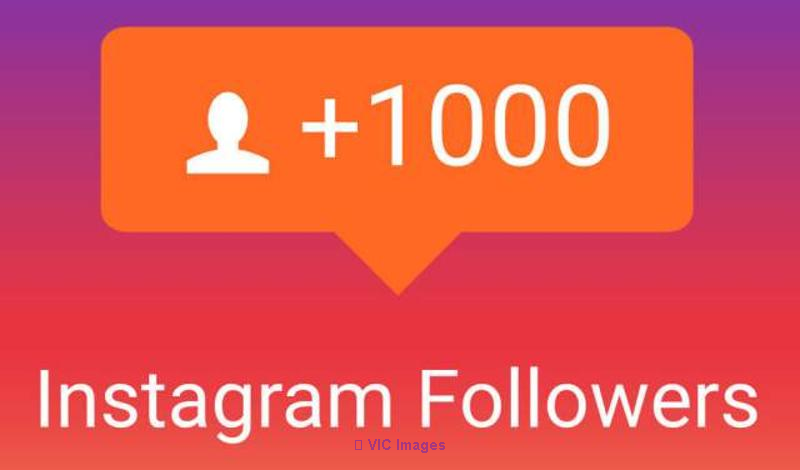 Buy 1k Instagram Followers in Toronto, Ontario