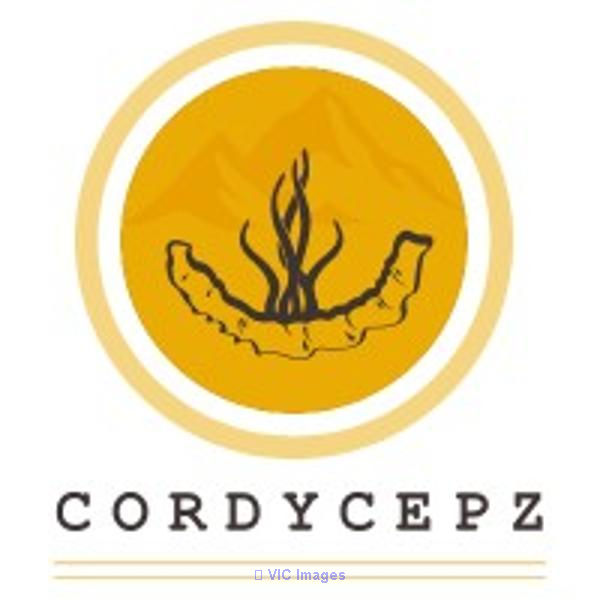 Cordyceps Militaris Price in India | Buy Now Cordyceps