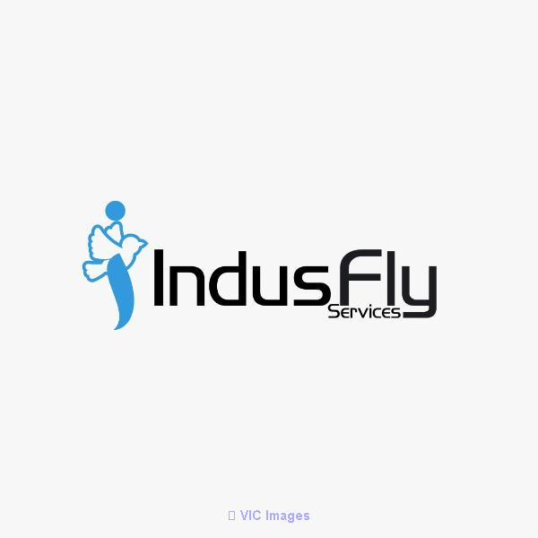 Indusflyservices | A Digital Marketing Agency