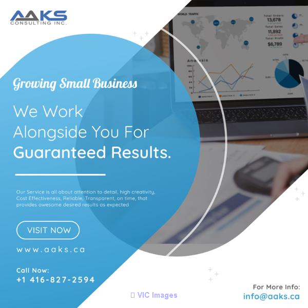 Web Design Company In Mississauga