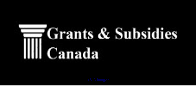 Canada Digital Adoption Program (CDAP)