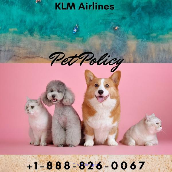 Comprehensive Guide to KLM Airlines Pet Policy: Call +1-888-826-0067 f