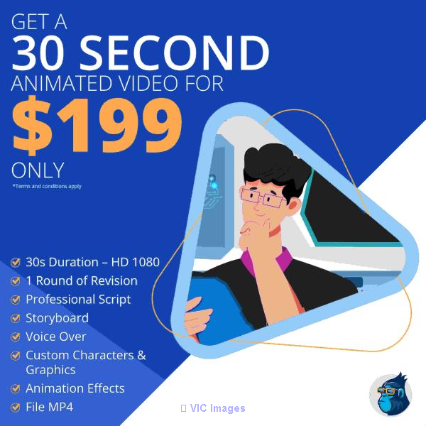Get A 30 Second Animated Video For $199 Only!