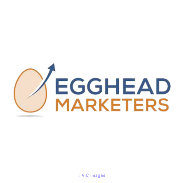 Affordable Web Design in Toronto - Egghead Marketers