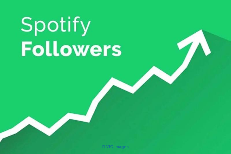Buy Real and Cheap Spotify Followers