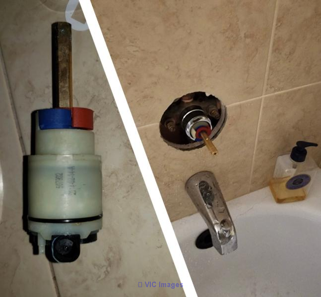 Mister Plumber