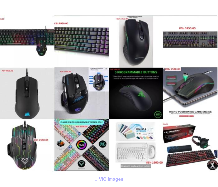 Mice and Keyboards