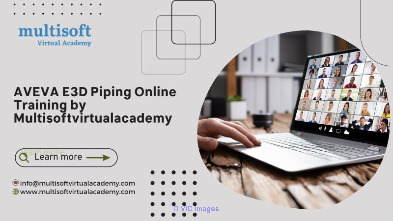 AVEVA E3D Piping Online Training by Multisoftvirtualacademy