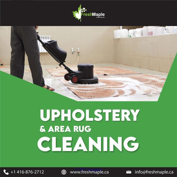 Upholstery Cleaning Milton  Your Need by Fresh Maple