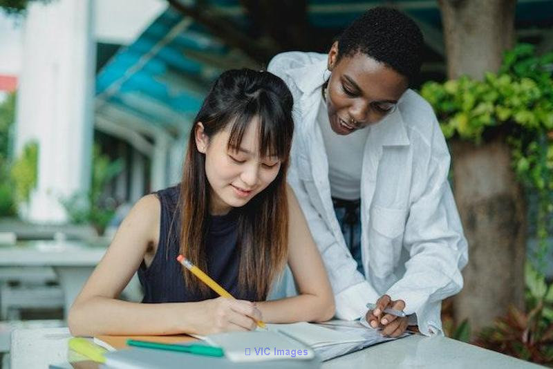 Check Out And Avail Of Our Assignment Support Tailored Only For You