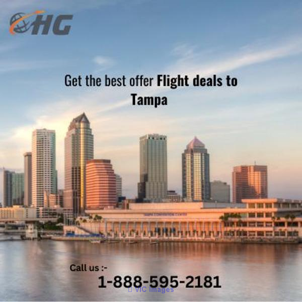 Get the best offer Flight deals to Tampa